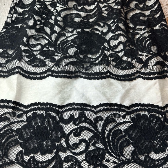 THE LIMITED Sleeveless Black Lace With White Underlay Dress | Size 10 - Picture 11 of 16